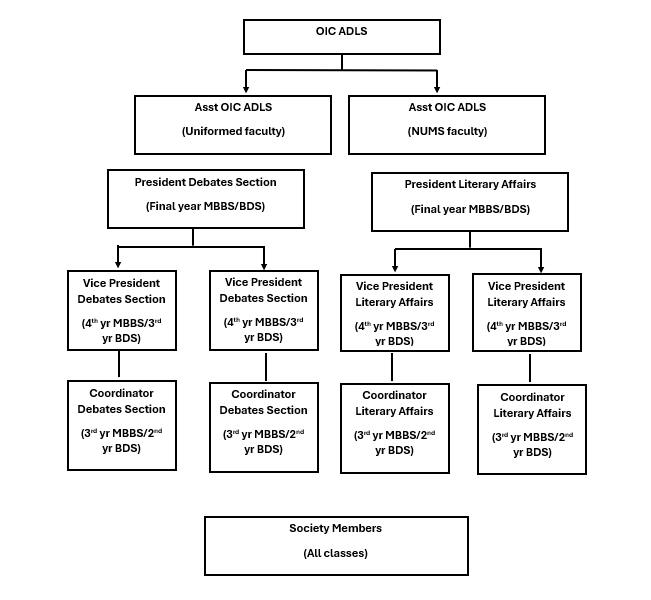 Organizational Structure of ADLS